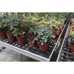 Durable Flat Panel Greenhouse Bench Trays Seedbed With UV Protected Grow Tables for sale