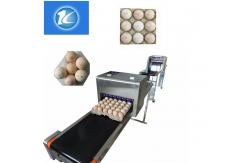 China Purple Ink Multiple Lines and Provided Service Eggs Inkjet Printer supplier