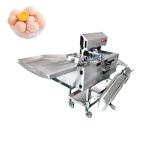 Stainless Steel Egg Separator Machine  3000pcs/H White Yolk Egg Breaking And Separating Machine for sale
