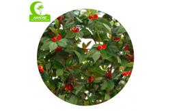 China Flame Retardant 280cm Artificial Camellia Tree , Indoor Silk Trees Durable supplier