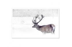 China New Style 3D Lenticular Printing Lenticular sheet Lenticular Greeting Card supplier