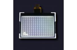 China Transflective FSTN Custom Mono LCD Panel REACH Seven Segment LCD Panel supplier