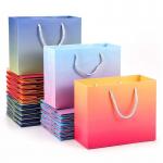 110gsm 120gsm Paper Bag Packaging For Clothes Waterproofing Fsc Certified for sale