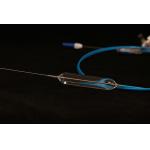Guidedwire Use Dilation Balloon Catheter With Elastic Soft Tip Design