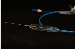 China Guidedwire Use Dilation Balloon Catheter With Elastic Soft Tip Design supplier