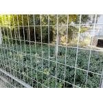 Hot Dip Galvanized Canada Square Tube Construction Portable Temporary Fence for sale
