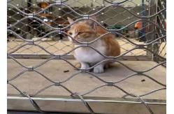 China long life stainless steel rope mesh for enimal enclosure supplier