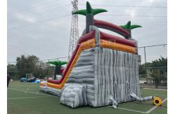 China PVC Tarpaulin Puncture Proof Inflatable Water Slides With Pool supplier
