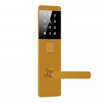 TTM726 Smart password door Locks with TThotel / TTLOCK App
