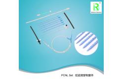 China Medical Urology PCNL Dilator Set Sheath Percutaneous Nephrostomy Kit supplier
