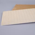 Flat Anti Skid Protection Clean Room Sticky Mat Frame With Hard Polystyrene Backing