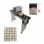 Poultry Husbandry Egg Inkjet Marking Machine With 1mm - 9mm Printing Word Height for sale