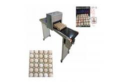 China Poultry Husbandry Egg Inkjet Marking Machine With 1mm - 9mm Printing Word Height supplier