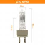230V 1000W Tungsten Halogen Lamp For Spectrophotometer G22