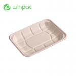 Paper Fruit 8in Sugarcane Bagasse Tray Pulp Eco Biodegradable Sustainable for sale