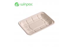China Paper Fruit 8in Sugarcane Bagasse Tray Pulp Eco Biodegradable Sustainable supplier