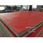 Martial Arts Tatami EVA Gym Foam Mat Odor Free 20mm 40mm for sale