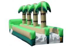 China inflatable tropical slide ,inflatable water slide,inflatable pool slide supplier