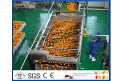 China Full Automatic Engery saving Orange Processing Line for Turn Key Project supplier