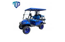 China 60V 5KW PMSM System electric Golf Buggy Scooter Remote Control supplier
