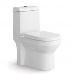 Siphon Peeping Elongated One Piece Toilet Floor Mounted for sale