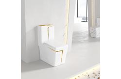 China Square WC Siphonic Flush Sanitary Ware Toilet Self Cleaning Spray supplier