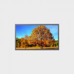 13.3 Inch High Brightness LCD Panel 1920*1080 EDP 800nits LCMA-RX0133GB02-C080 for sale