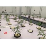 Greenhouse Aeroponics Hydroponics System 3 Meter for sale