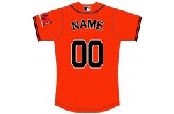 China ISO9001 BSCI Baseball Teamwear Jersey Shirt With Set In Sleeves supplier