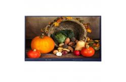 China 86 Inch LED Interactive Whiteboard 65 75 98 Smart Multi Touch Display supplier