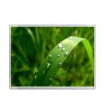 17 Inch M170EG01 VH LCD Notebook Screen RGB 1280X1024 SXGA 96PPI for sale