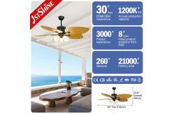 China Silent Motor Remote Control Classic Ceiling Fans With Light Five Blades supplier
