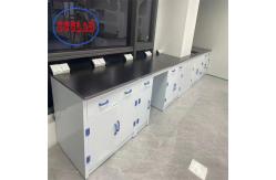 China Integrated PP  chemistry laboratory furniture design Hong Kong Storage Solution supplier