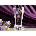 High End Customized Crystal Glass Trophy Awards With Colored Glaze Eagle for sale
