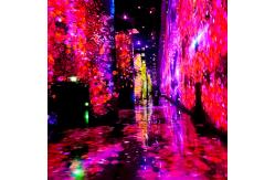 China Modern Luxury Immersive Interactive Wall / Floor Laser Projection For Exhibition supplier