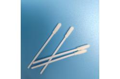 China Disposable EO Sterile 8cm Foam Head Oral Specimen Collection Swabs supplier