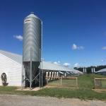 Modern Long Span Steel Construction Building High Capacity Prefabricated Poultry House