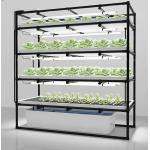 Customized 45cm Layer Height Hydroponic Lettuce Rack For Growing Crops for sale