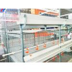 Animal Feeding H Type Automatic Chicken Cage , Hen Battery Cages For Broilers for sale
