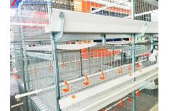 China Easy Operate Poultry Farm Automatic Laying Nest PP supplier