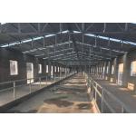 China ISO1461 Steel Structure Poultry House 50 - 100mm Panel Steel Cattle Buildings for sale