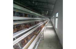 China 3 Tier Layer Egg Chicken Cage supplier