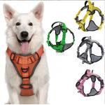 Adjustable Nylon Dog Harness For Puppy Training Easy Control Handle for sale