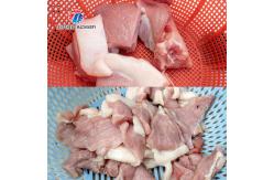 China Multifunctional Automatic Meat Cutter Lamb Shredding Machine supplier
