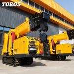 1 Ton Spider Crawler Crane Tracked Mini Crane High Performance for sale