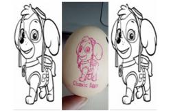 China Black Ink Cartridge And Best Service Egg Marking Equipment / Egg Printer Machine supplier