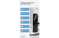 China Unlock Method Tuya TTlock Password Fingerprint Smart Locks For Home supplier