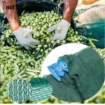 60gsm - 90gsm Fruit Collector Net HDPE Fruit Collector Harvesting Net