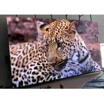 Indoor Full Color Stage Background P4 LED Video Wall Panel Display Screen for sale