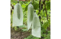 China Recyclable Plastic Mesh Fruit Protection Bags Breathable For Fresh Fruits Vegetables supplier